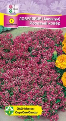 Лобулярия морская Розовый ковер 0.2г (Беларусь)