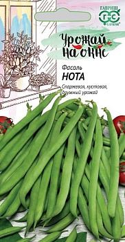 Фасоль Нота спаржевая 5г (Россия)