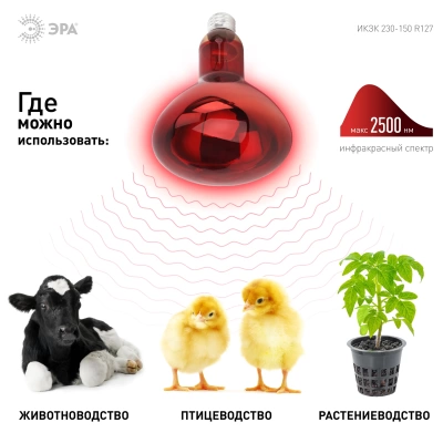 Инфракрасная лампа ЭРА ИКЗК 230-150 R127для обогрева животных и освещения 150 Вт Е27 (Великобритания)