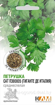 Петрушка САТ П300005 (Беларусь)