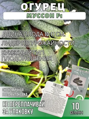 Огурец Муссон F1 (Китай)