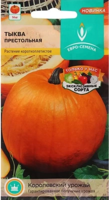 Тыква Престольная твердокорая (Россия)