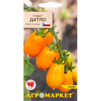 Томат Датло (Чехия)