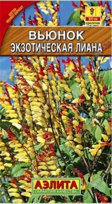 Вьюнок Экзотическая лиана семена Купить | Практик