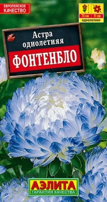 Астра Фонтенбло семена (Нидерланды)