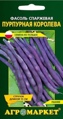 Фасоль Спаржевая Пурпурная Королева фиолетовая 10г Купить | Практик