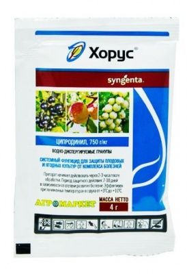 Хорус ВДГ 4г Купить | Практик