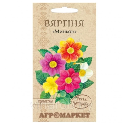 Георгина Миньон  0.5г (Беларусь)