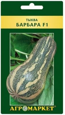 Тыква Барбара F1 5 шт Купить | Практик